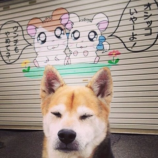 夜沉蓝桥，凯塞多一锤定音—拜仁决胜局从斯坦福桥艰难带走胜利