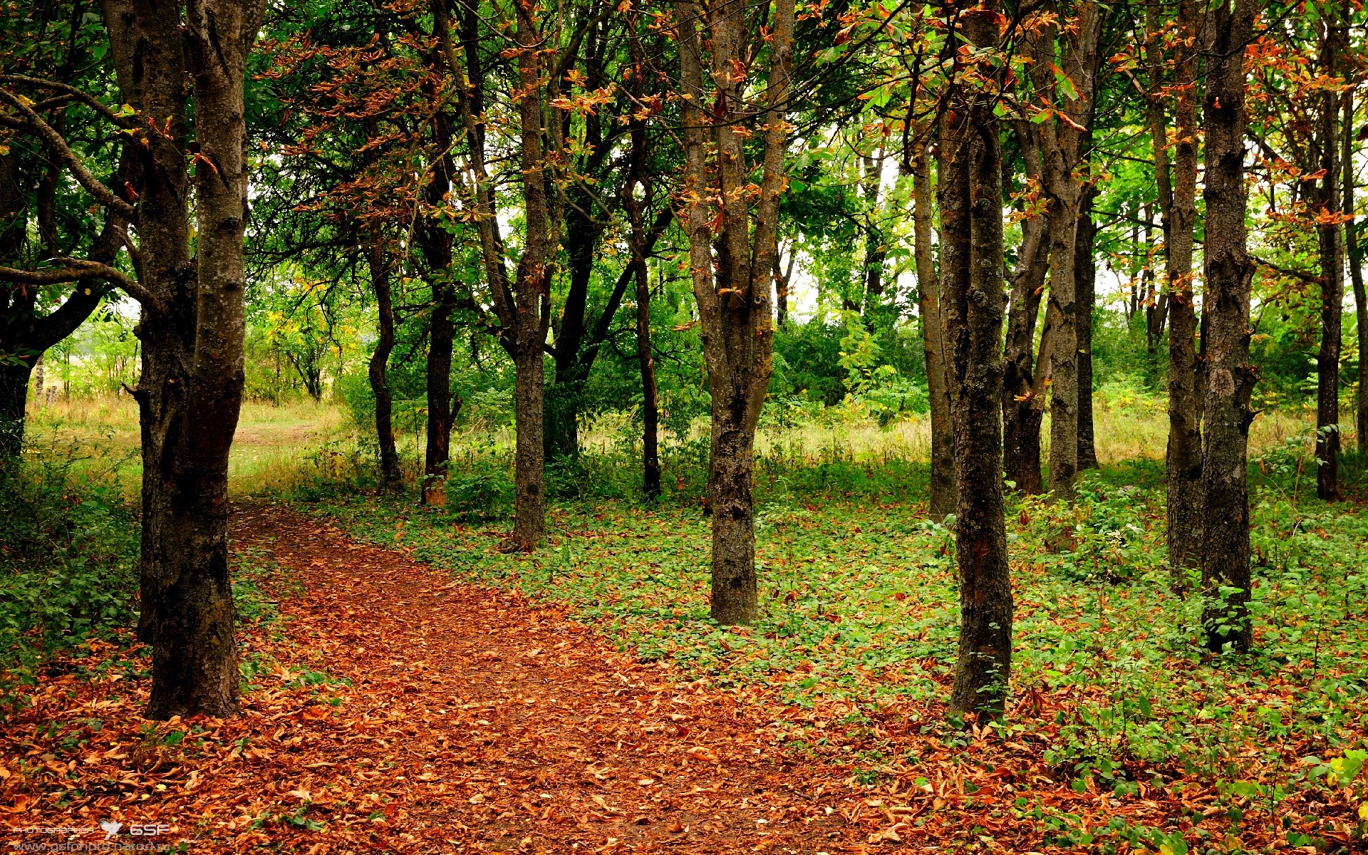 当巴斯托尼锁死阿根廷尖刀，皇家社会的攻势足球如何被一个意大利人带走