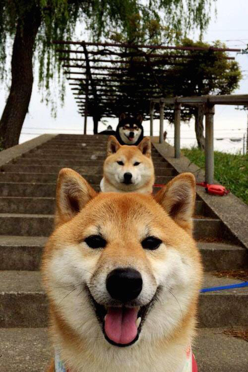 篮球世界的平行时空，当尼克斯收割勇士，西亚卡姆在世界的另一端接管比赛