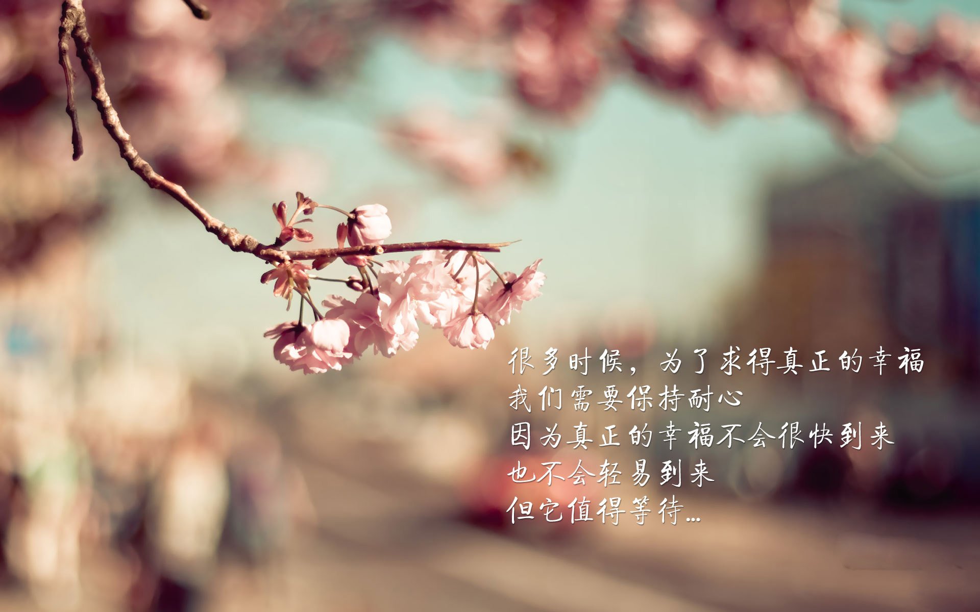 南美之盾,波斯铁骑,与内马尔刺穿宿命之喉,2026世界杯C组的血色黄昏迷局