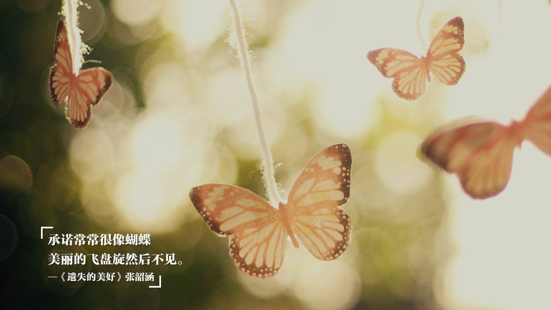 以下是为您构思的标题与文章