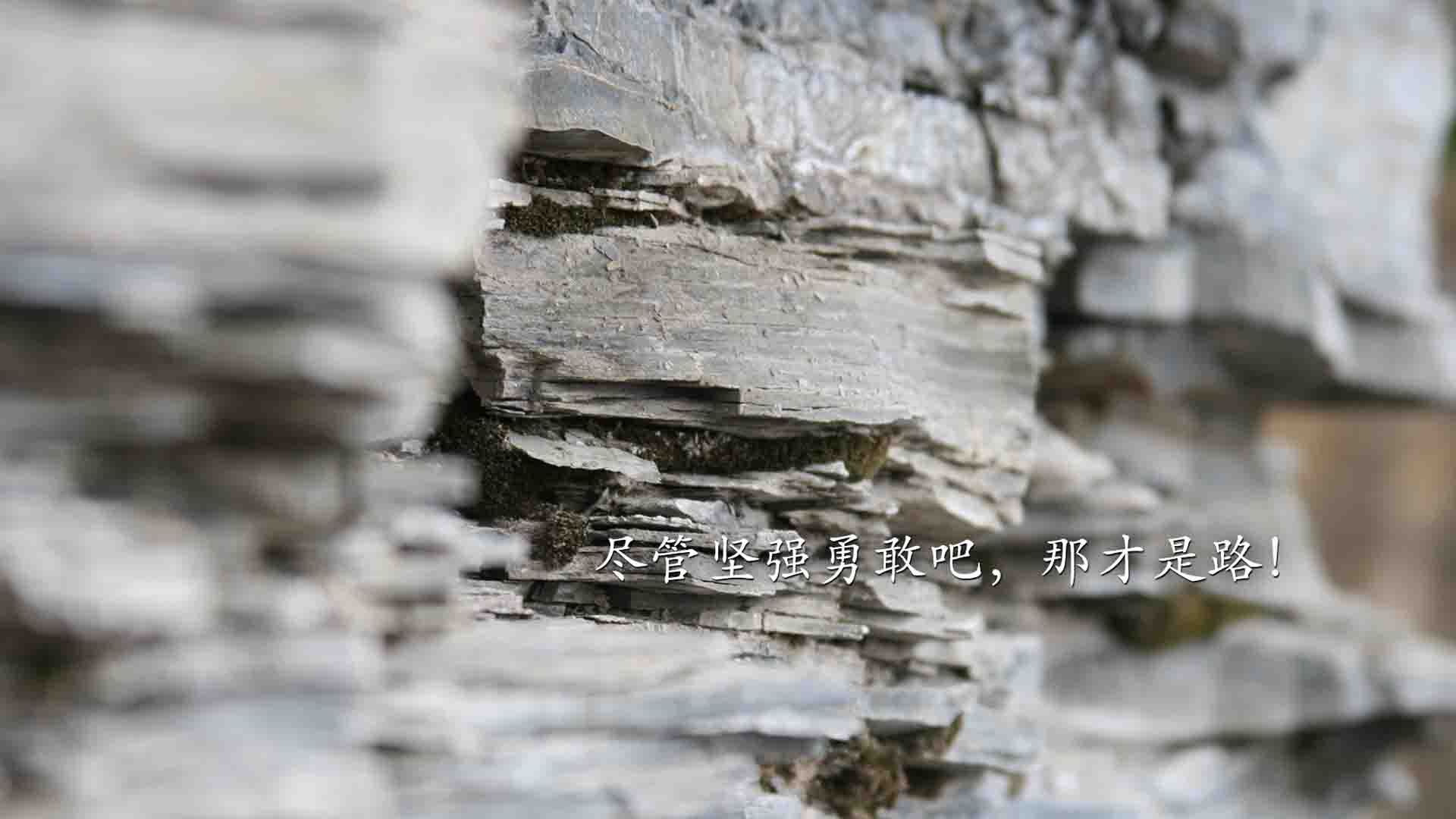 唯一性之役，2026世界杯G组，布罗佐维奇用永动机撕开北欧铁幕，奥地利在凌迟中险胜