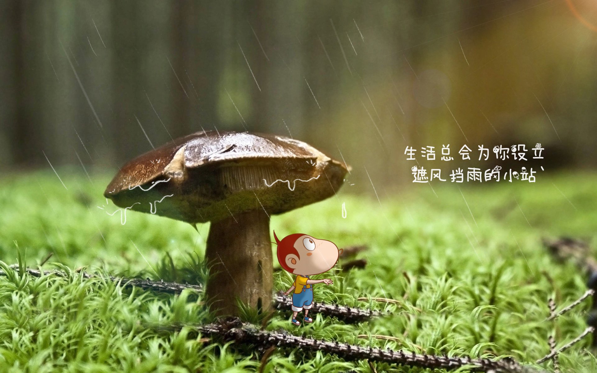 蓝衣悲歌，红魔新王，登贝莱用一场非典型胜利，为比利时黄金一代画上句号，也为H组生死战写下唯一答案
