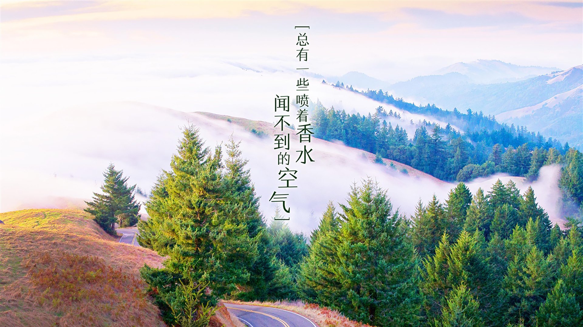 H组唯一的神话，当亚洲之虎撕碎钢筋混凝土